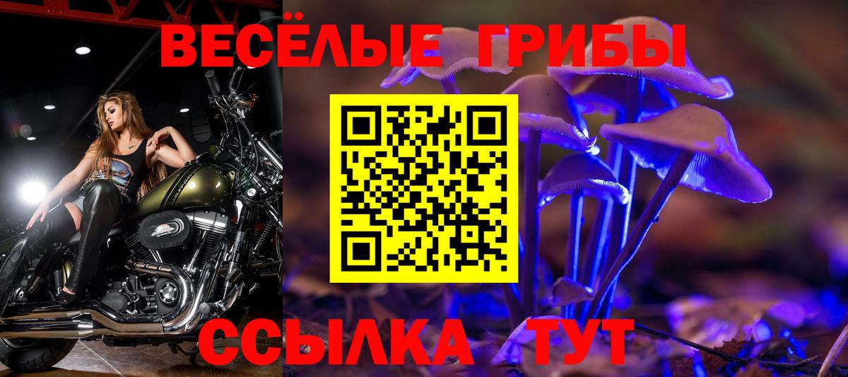 Псилоцибиновые грибы ЛСД  купить наркотики сайты  Псилоцибиновые грибы мухоморы  Чебоксары  Вход с VPN 